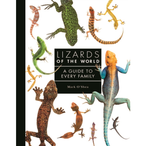 Quarto Publishing Plc Lizards of the World (inbunden, eng)