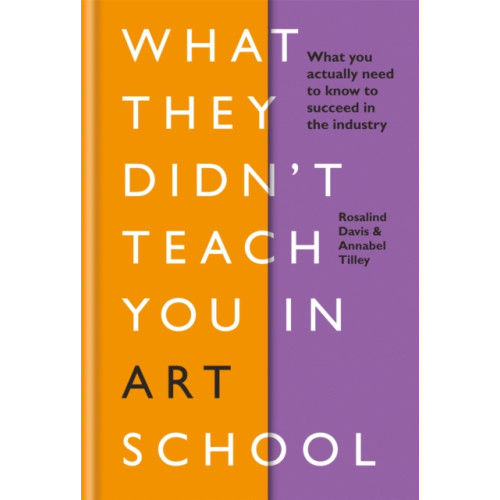 Octopus publishing group What They Didn't Teach You in Art School (inbunden, eng)