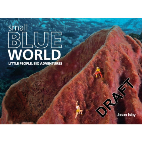 Michael O'Mara Books Ltd Small Blue World (inbunden, eng)