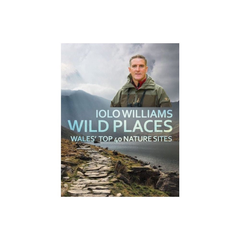 Produktbild för Wild Places (häftad, eng)