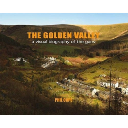 Poetry Wales Press The Golden Valley (häftad, eng)