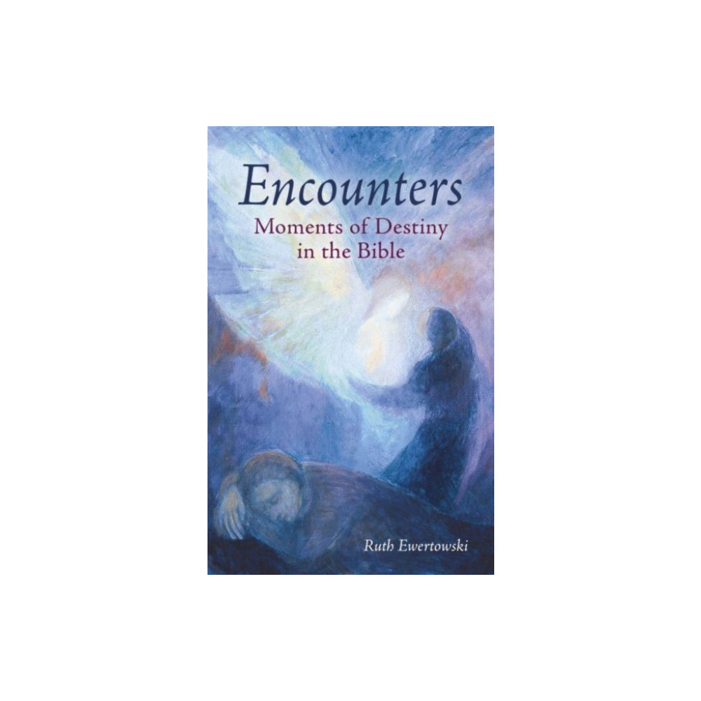 Produktbild för Encounters: Moments of Destiny in the Bible (häftad, eng)