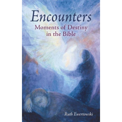 Floris Books Encounters: Moments of Destiny in the Bible (häftad, eng)