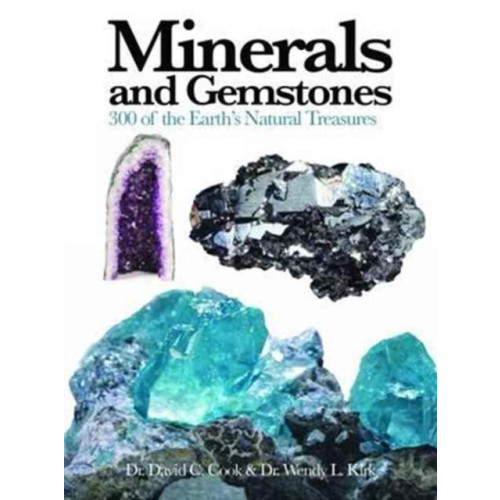 Amber Books Ltd Minerals and Gemstones (häftad, eng)