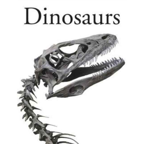 Amber Books Ltd Dinosaurs (inbunden, eng)