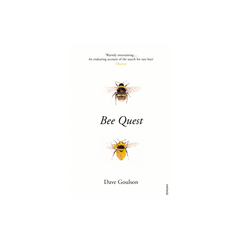 Produktbild för Bee Quest (häftad, eng)