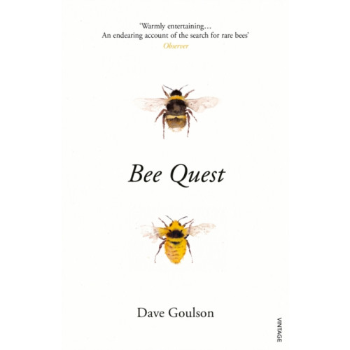 Vintage Publishing Bee Quest (häftad, eng)