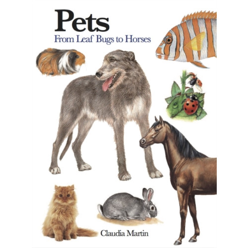 Amber Books Ltd Pets (häftad, eng)