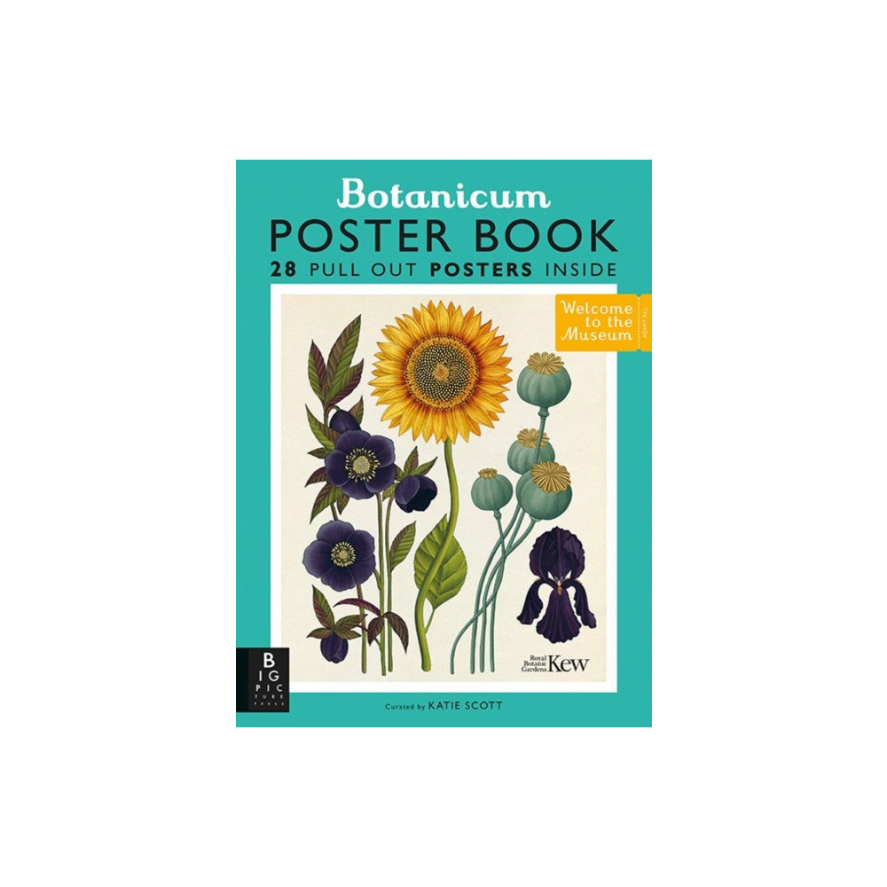 Produktbild för Botanicum Poster Book (häftad, eng)
