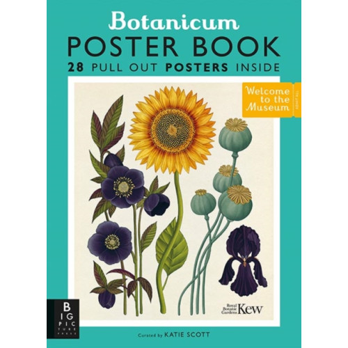 Templar Publishing Botanicum Poster Book (häftad, eng)