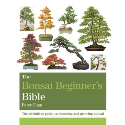 Octopus publishing group The Bonsai Beginner's Bible (häftad, eng)