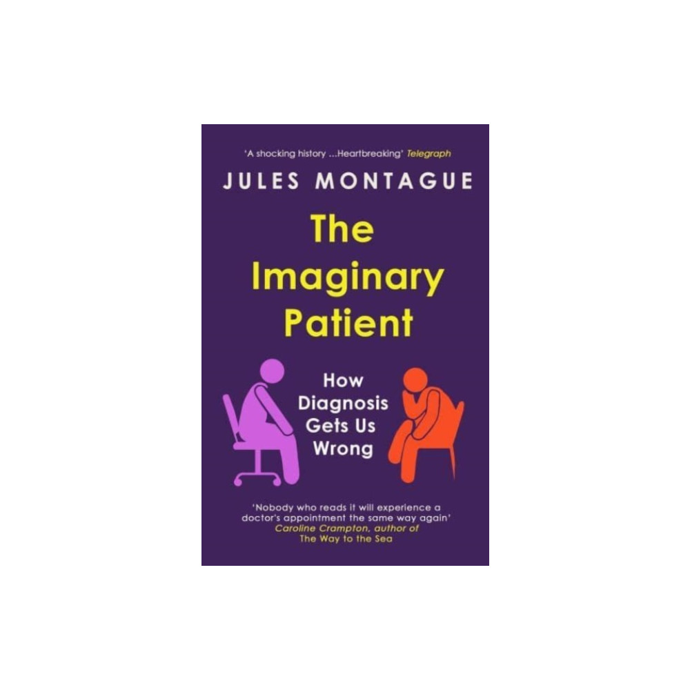 Produktbild för The Imaginary Patient (häftad, eng)