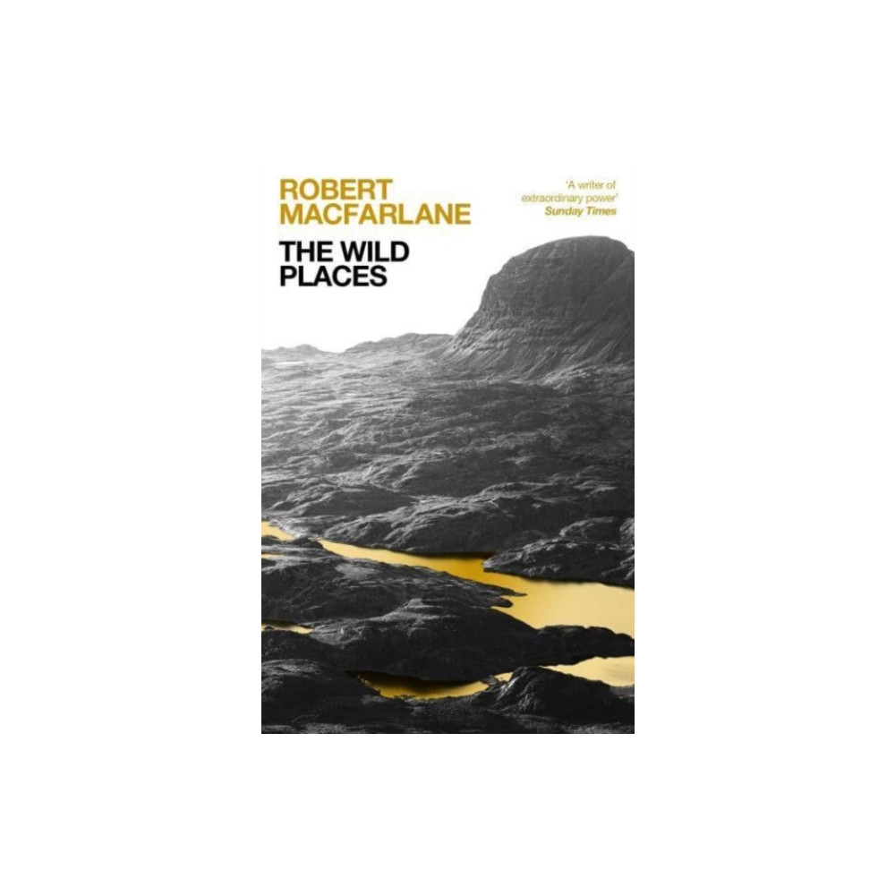 Produktbild för The Wild Places (häftad, eng)
