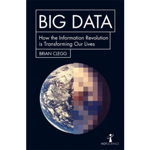 Icon Books Big Data (häftad, eng)