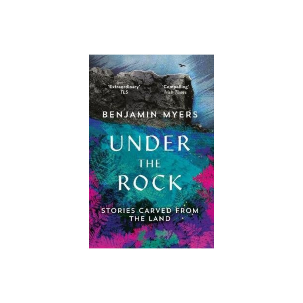 Produktbild för Under the Rock (häftad, eng)
