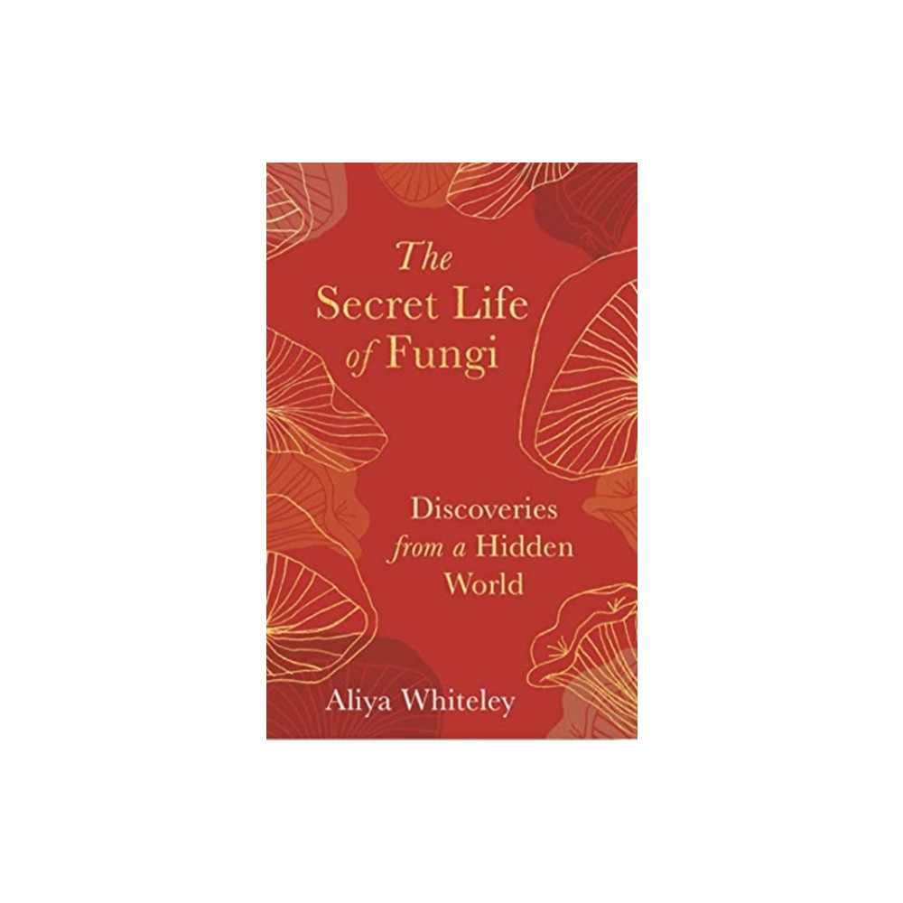 Produktbild för The Secret Life of Fungi (inbunden, eng)