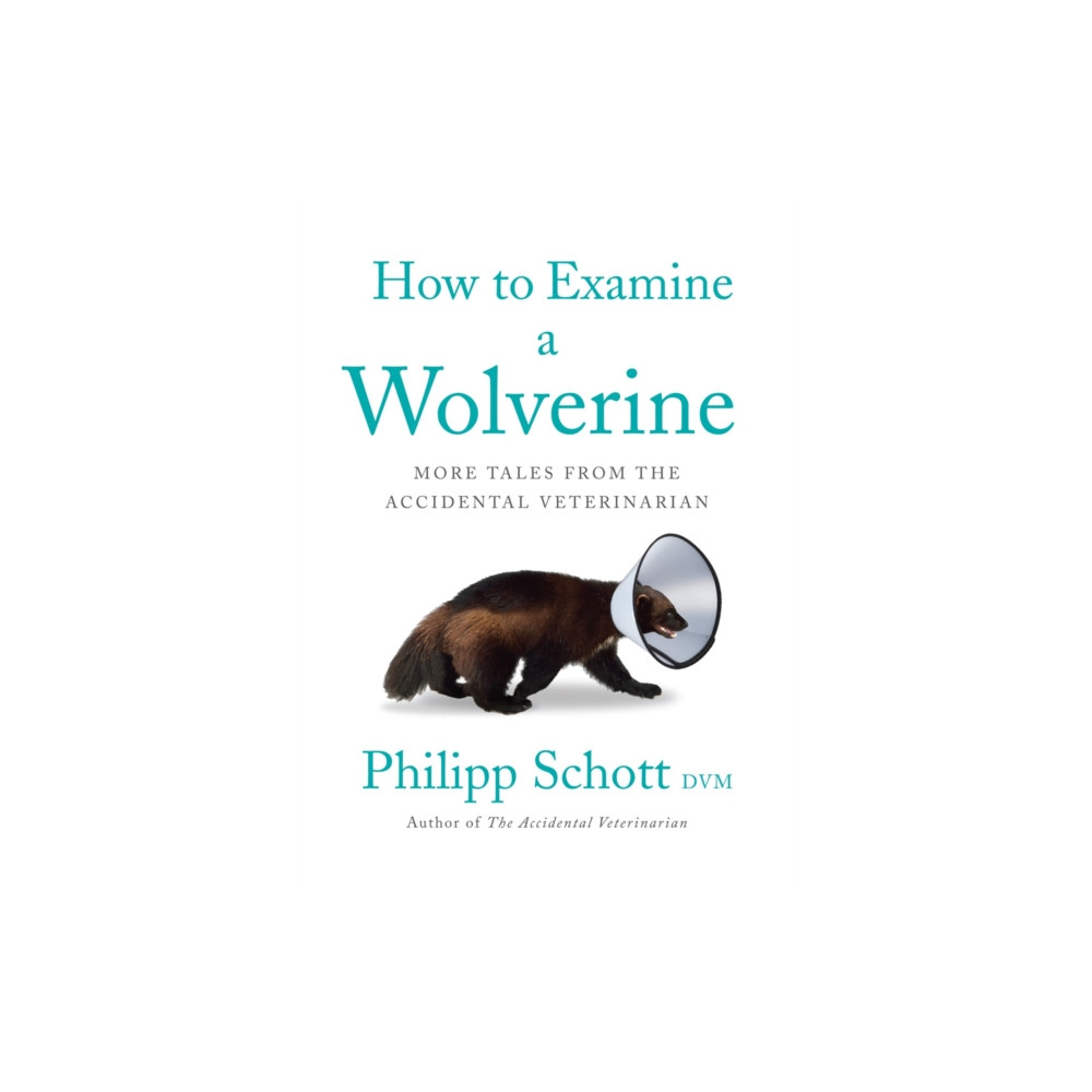Produktbild för How to Examine a Wolverine (häftad, eng)