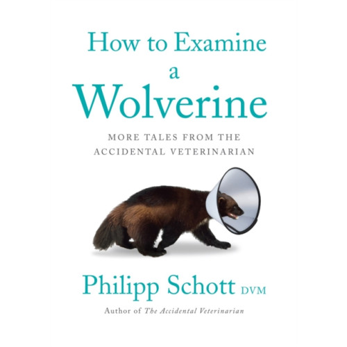 ECW Press,Canada How to Examine a Wolverine (häftad, eng)