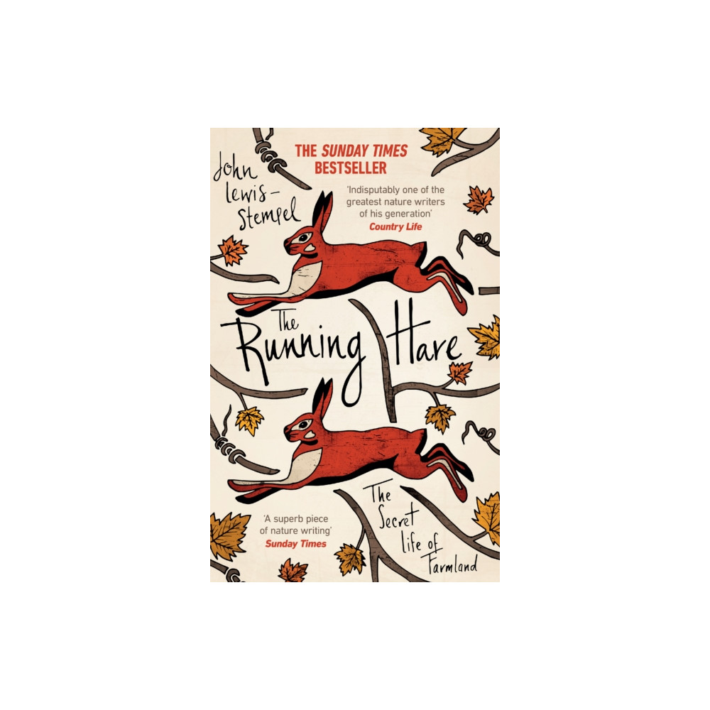 Produktbild för The Running Hare (häftad, eng)
