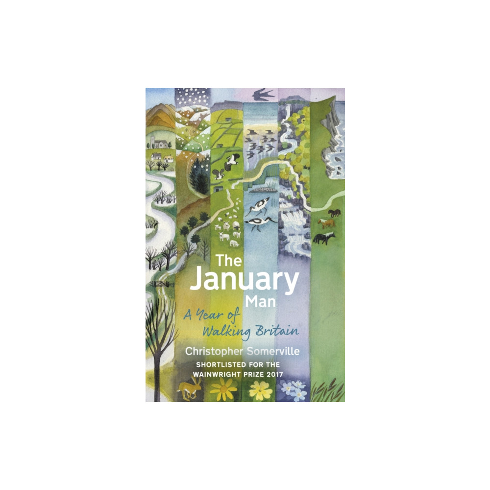 Produktbild för The January Man (häftad, eng)