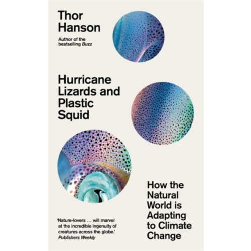Icon Books Hurricane Lizards and Plastic Squid (inbunden, eng)