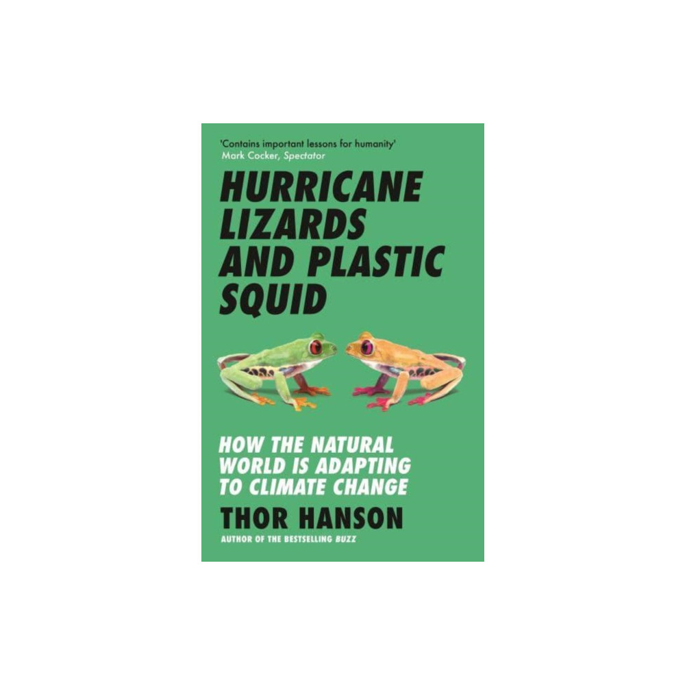 Produktbild för Hurricane Lizards and Plastic Squid (häftad, eng)