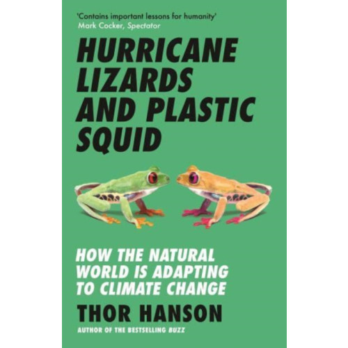 Icon Books Hurricane Lizards and Plastic Squid (häftad, eng)