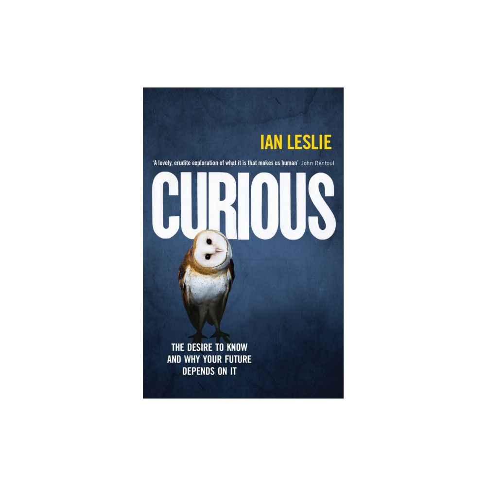 Produktbild för Curious (häftad, eng)