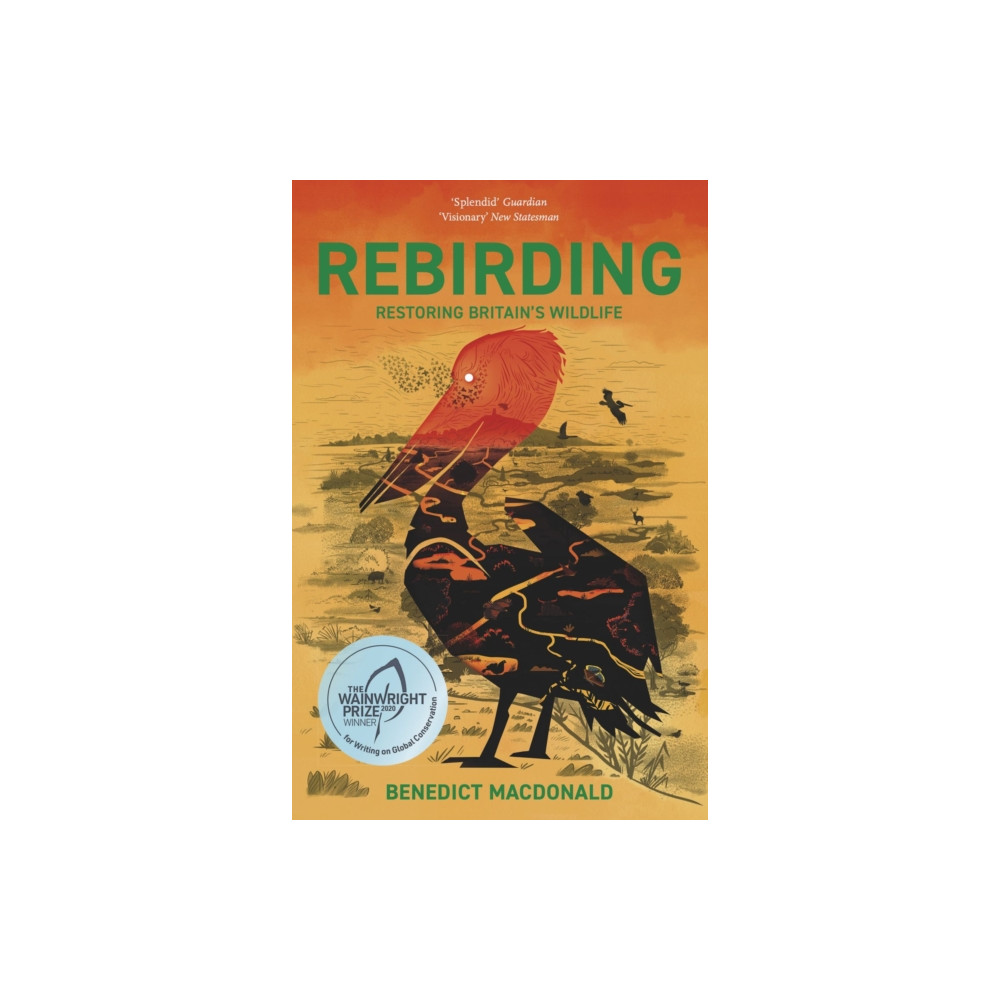 Produktbild för Rebirding (häftad, eng)