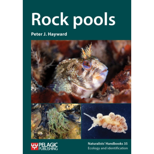 Pelagic Publishing Rock pools (häftad, eng)