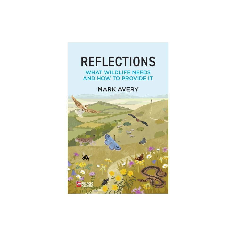Produktbild för Reflections (häftad, eng)