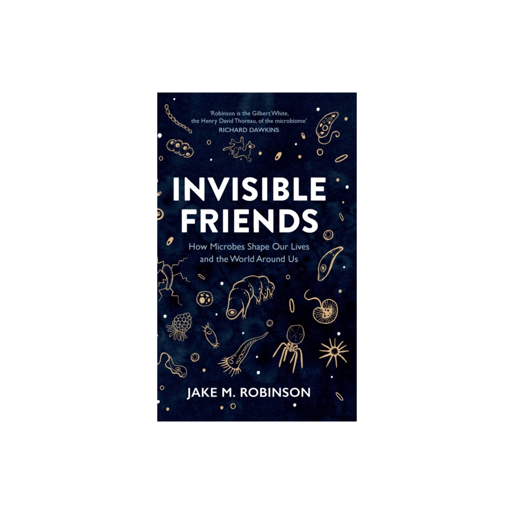 Produktbild för Invisible Friends (inbunden, eng)