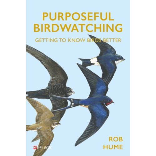 Pelagic Publishing Purposeful Birdwatching (häftad, eng)