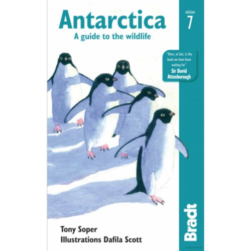 Bradt Travel Guides Antarctica (häftad, eng)