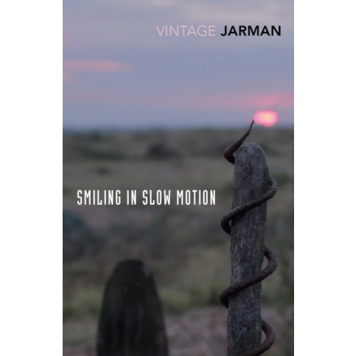 Vintage Publishing Smiling in Slow Motion (häftad, eng)