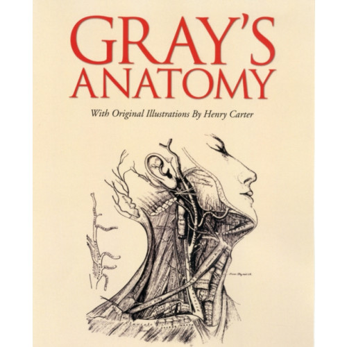 Arcturus publishing ltd Grays Anatomy (inbunden, eng)