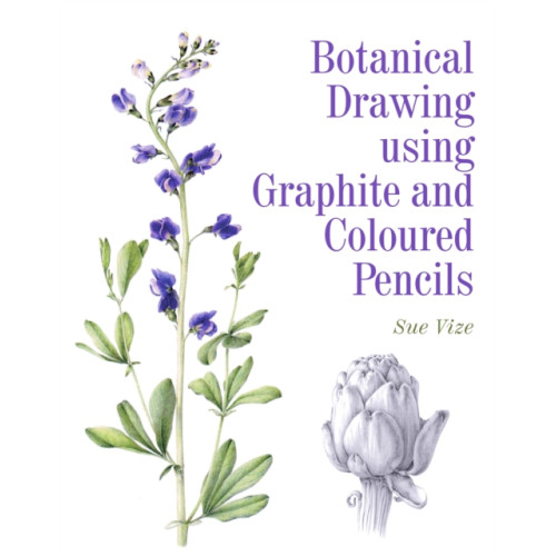 The Crowood Press Ltd Botanical Drawing using Graphite and Coloured Pencils (häftad, eng)