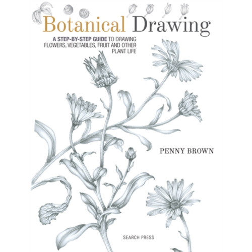 Search Press Ltd Botanical Drawing (häftad, eng)