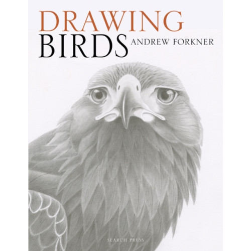 Search Press Ltd Drawing Birds (häftad, eng)