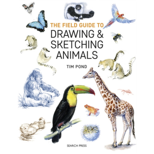 Search Press Ltd The Field Guide to Drawing & Sketching Animals (häftad, eng)