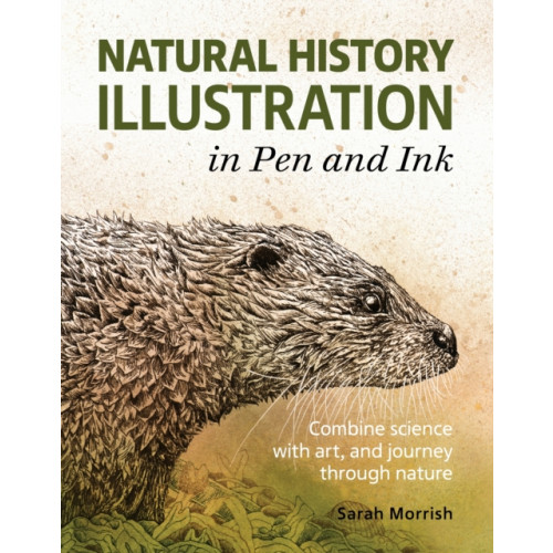 The Crowood Press Ltd Natural History Illustration in Pen and Ink (häftad, eng)
