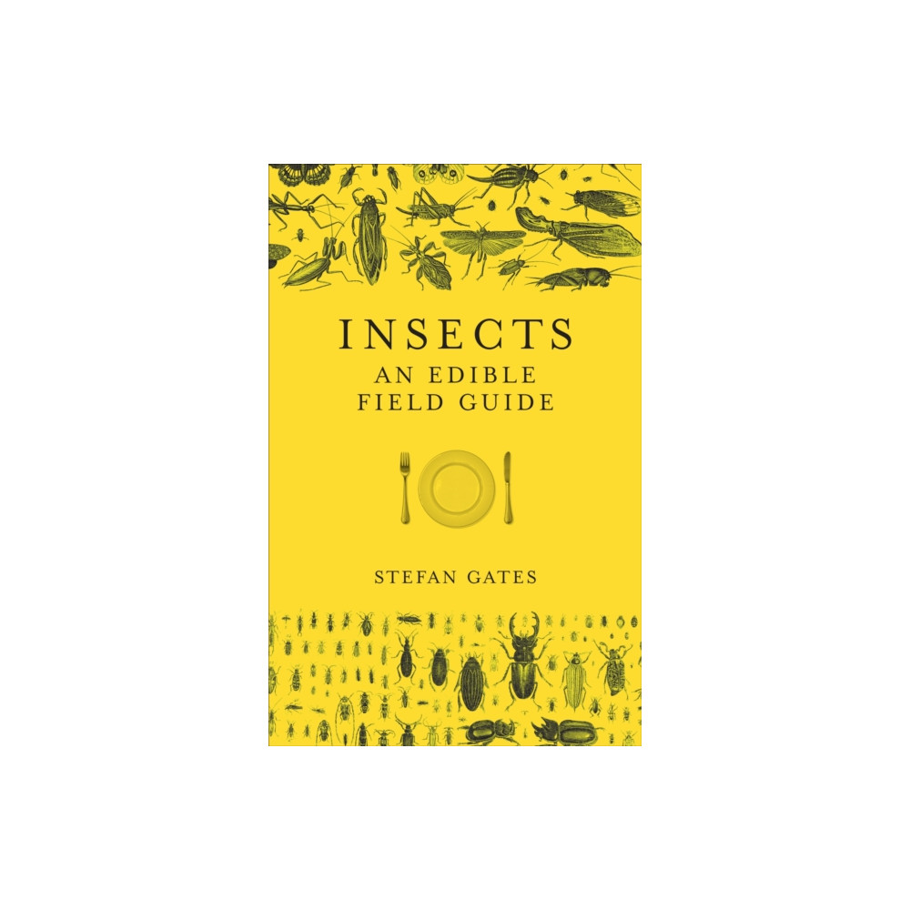 Produktbild för Insects (inbunden, eng)