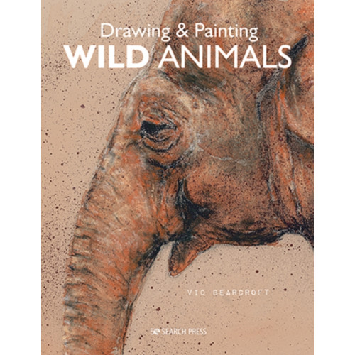 Search Press Ltd Drawing & Painting Wild Animals (häftad, eng)