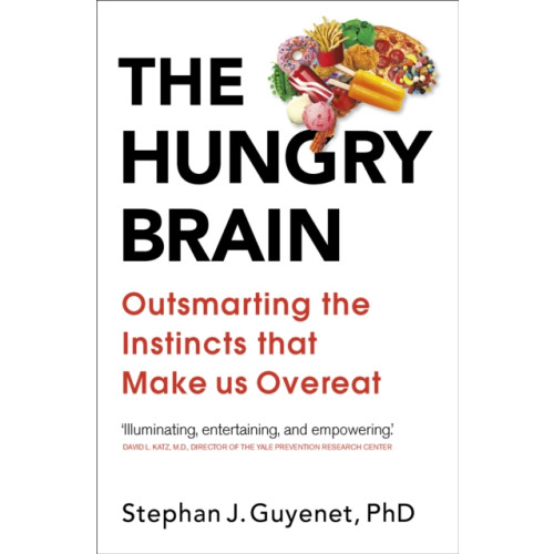 Ebury Publishing The Hungry Brain (häftad, eng)
