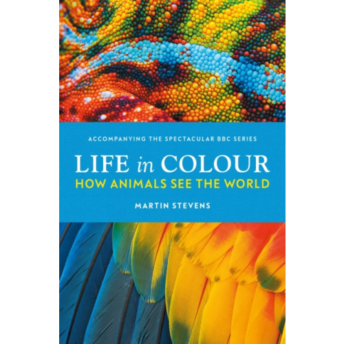Ebury Publishing Life in Colour (inbunden, eng)
