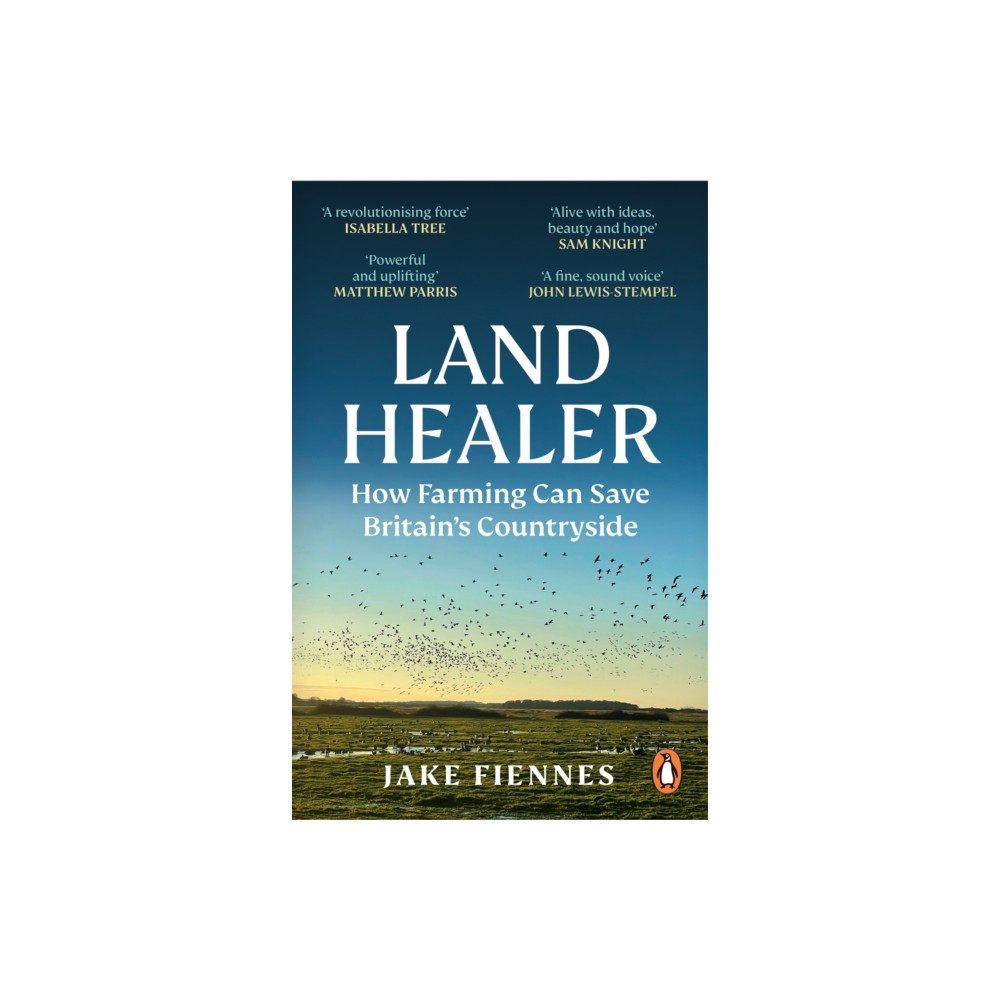 Produktbild för Land Healer (häftad, eng)