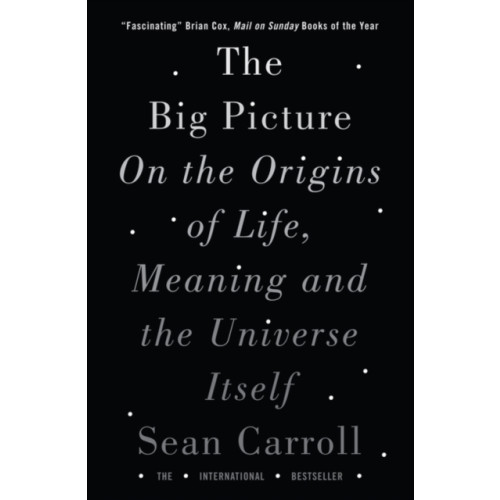 Oneworld Publications The Big Picture (häftad, eng)