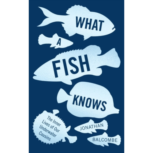 Oneworld Publications What a Fish Knows (häftad, eng)