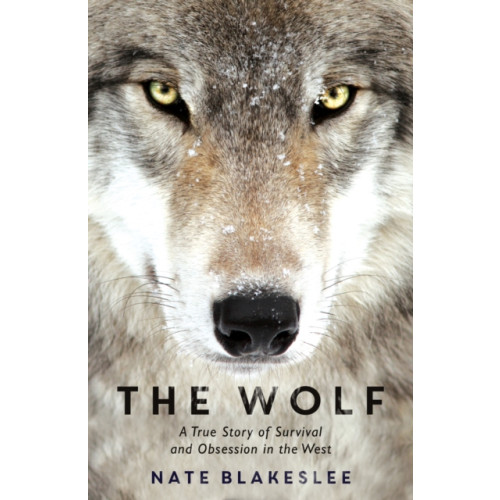 Oneworld Publications The Wolf (häftad, eng)