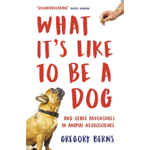 Oneworld Publications What It's Like to Be a Dog (häftad, eng)